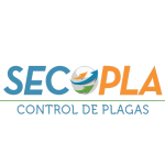 Secopla-1